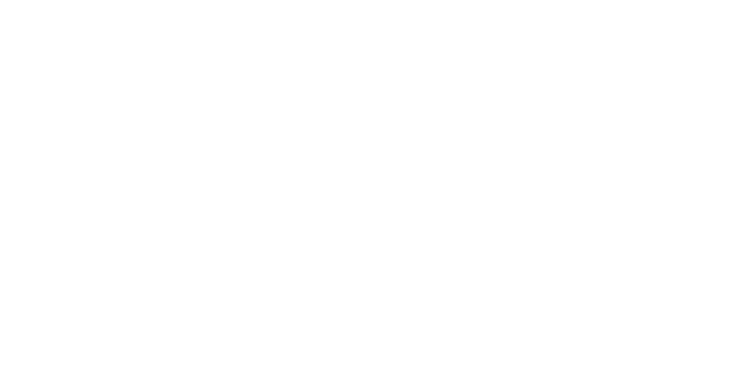Zopi